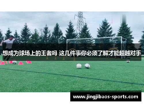 想成为球场上的王者吗 这几件事你必须了解才能超越对手